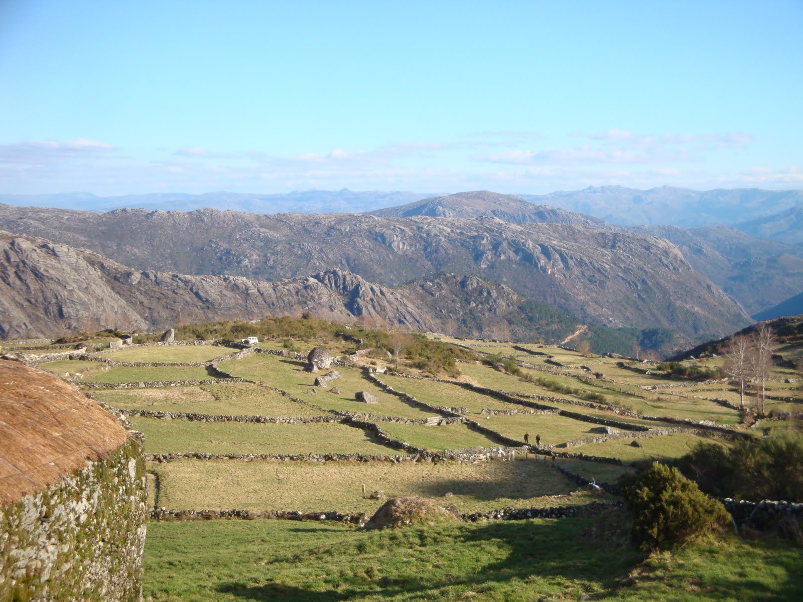 [DSC04437.JPG]