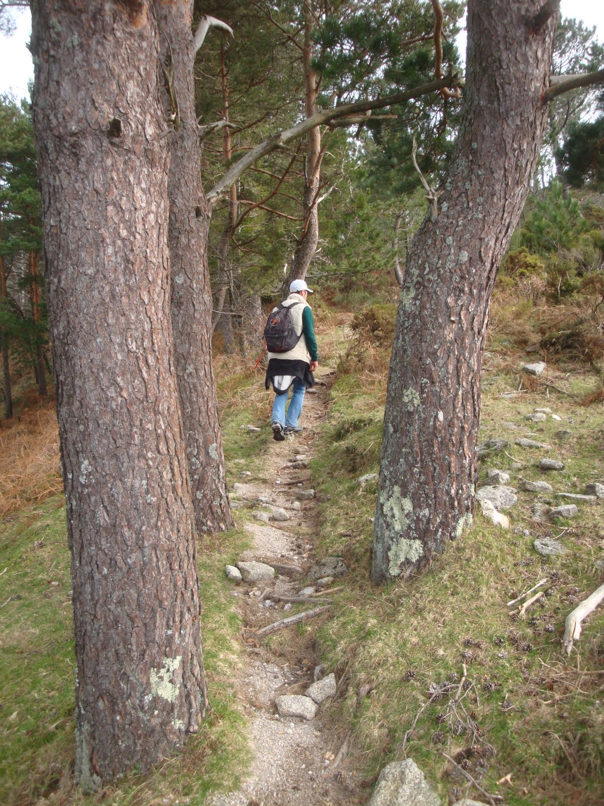 [DSC04558.JPG]