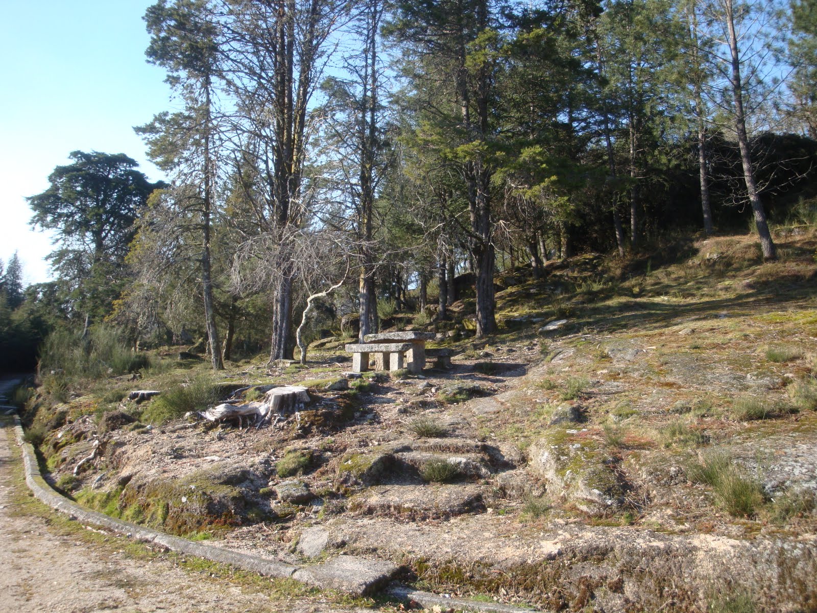 [DSC05072.JPG]