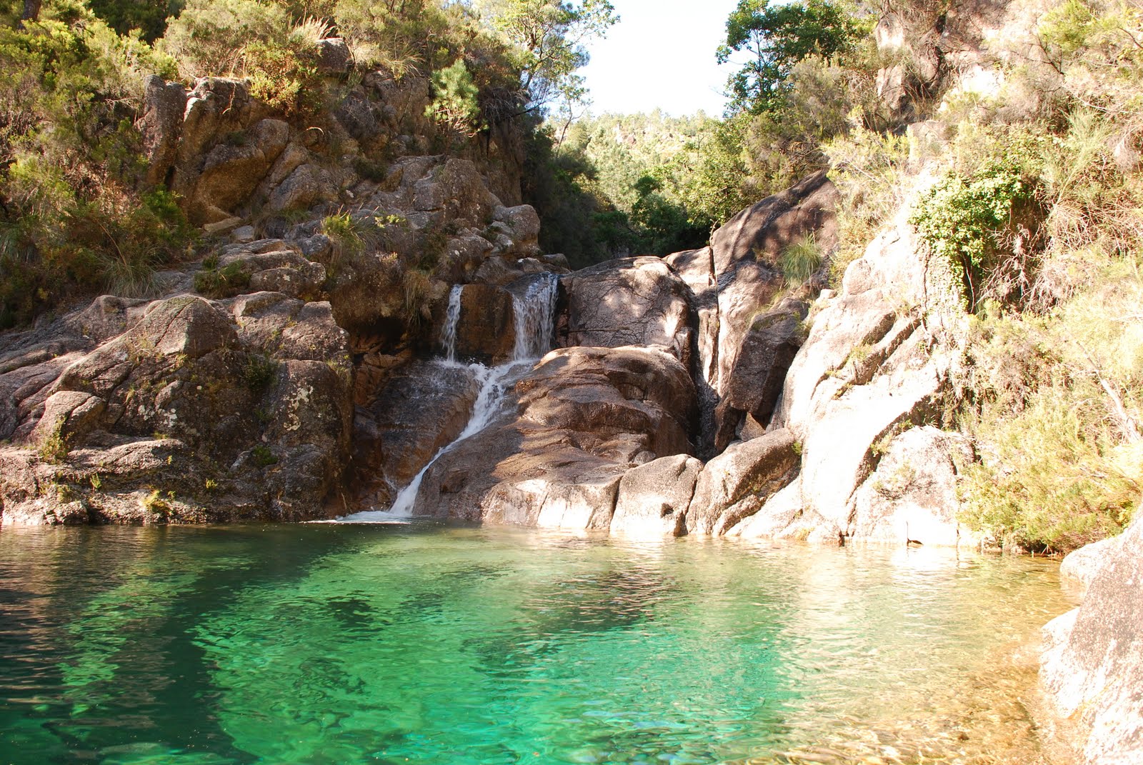 [DSC_1577.JPG]