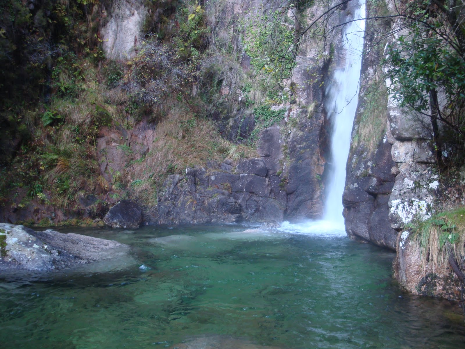 [DSC02895.JPG]