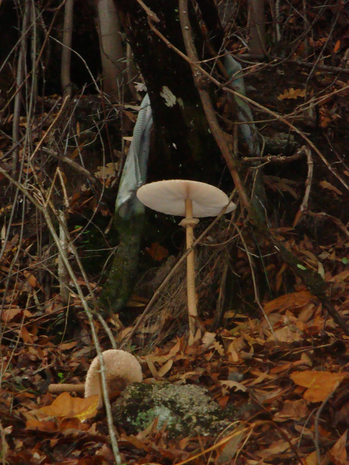 [DSC02881.JPG]