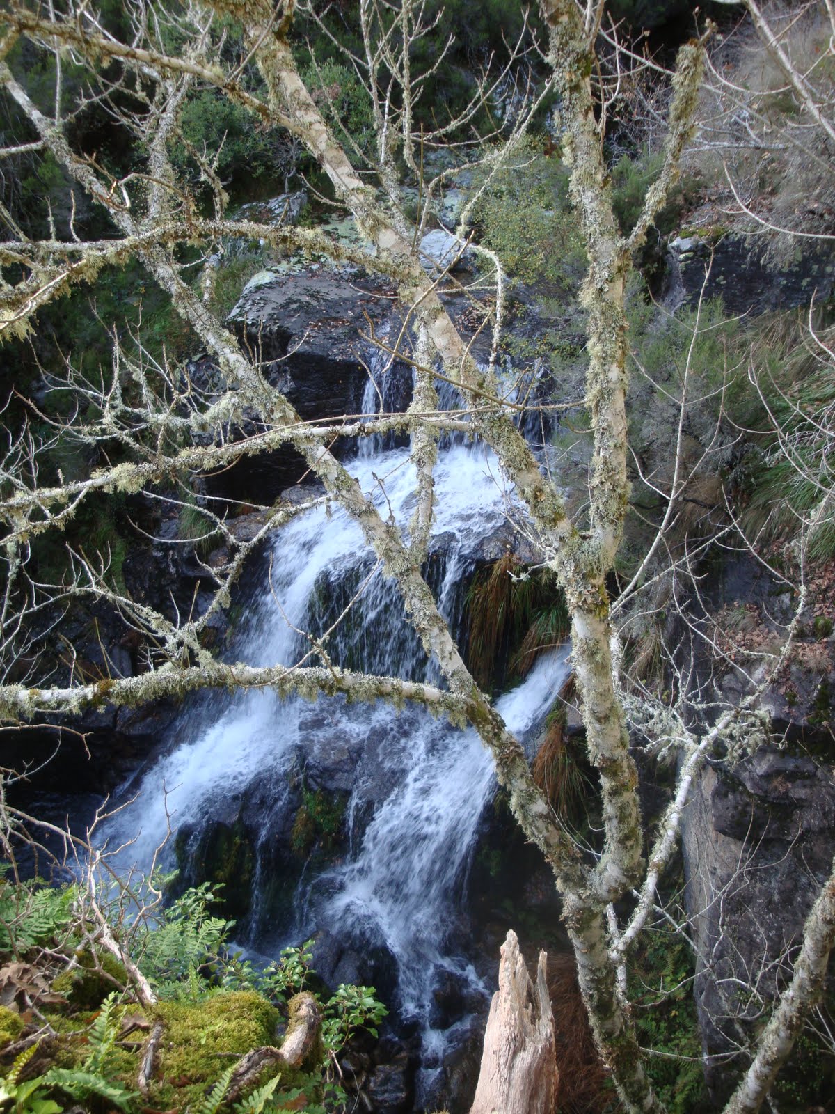 [DSC02971.JPG]