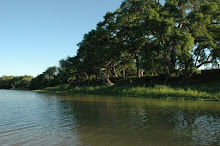 Rio Bermejito - Chaco