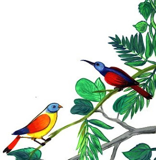العصـــفور الصغيـــر Ss220d