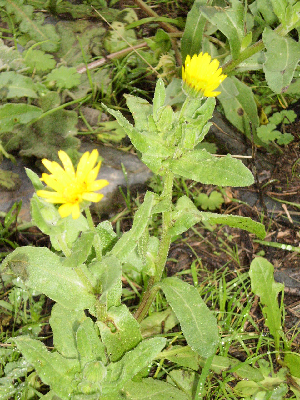 [PC161127.JPG]