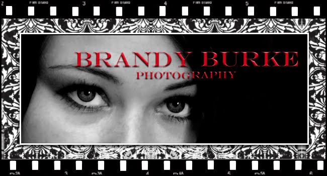 B B Photography