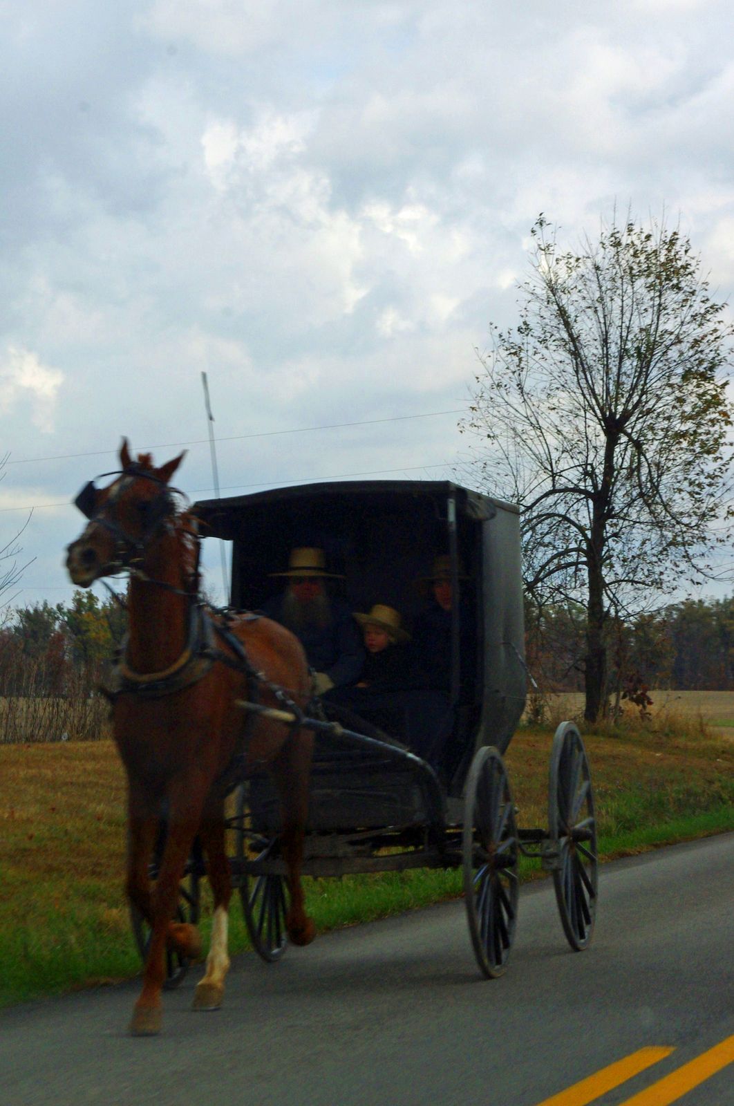 Fifty First States Day 69 An Extra Furlong For Dinner