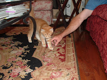 Connor and Jeff Playing Fetch