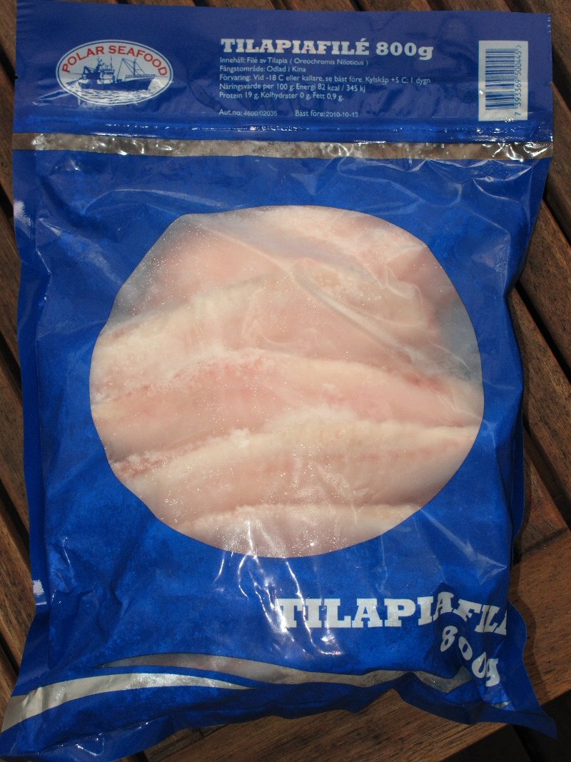 [tilapia0.JPG]