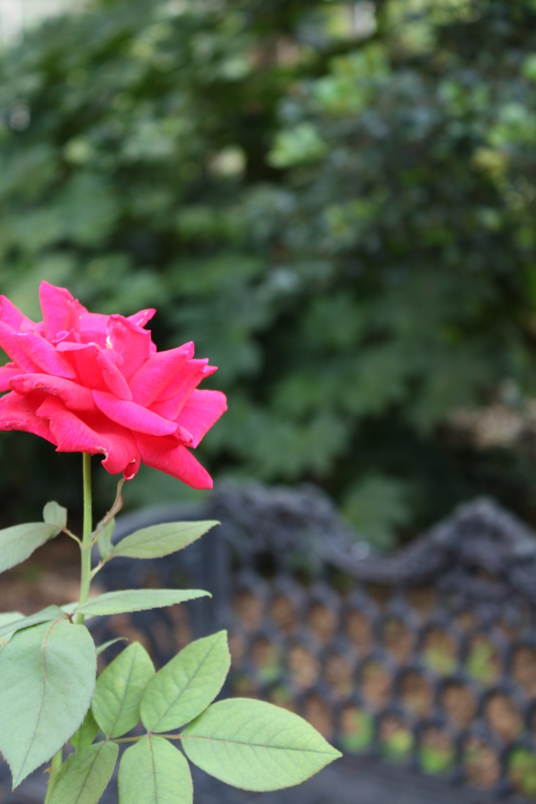 [IMG_5105.JPG]