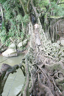 Jembatan_Akar2.jpg