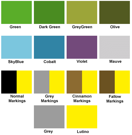 Budgie Colours Chart