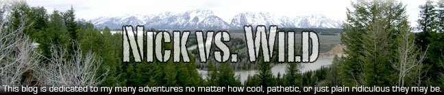 Nick vs. Wild