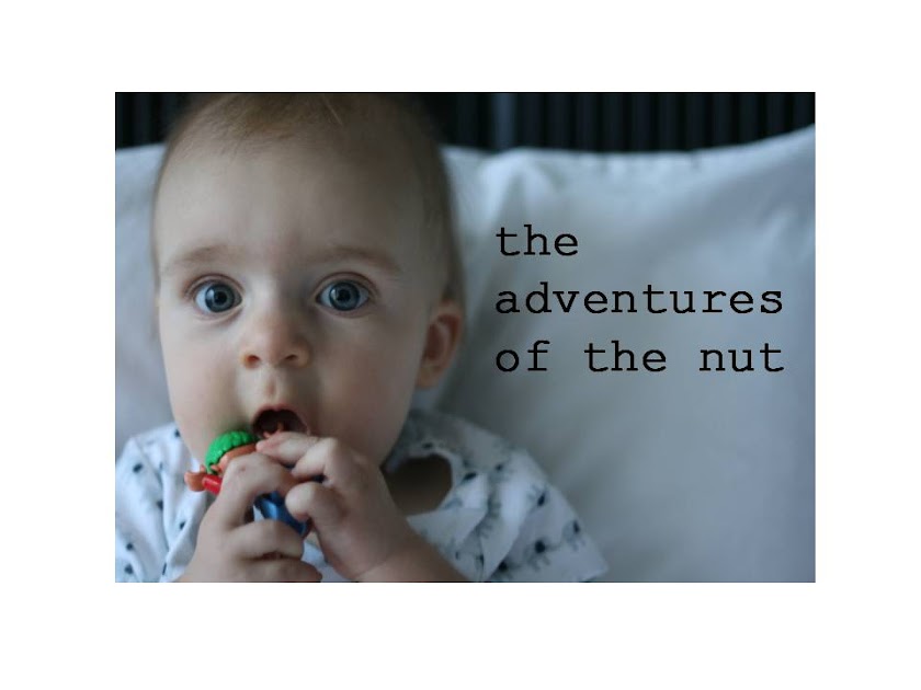 adventures of the nut