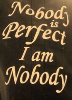 nobody-is-perfect.jpg