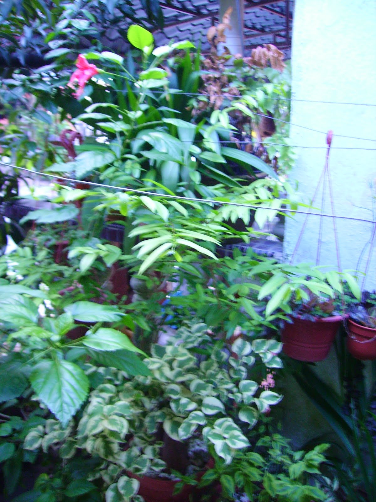 [5+IMG_0147.JPG]