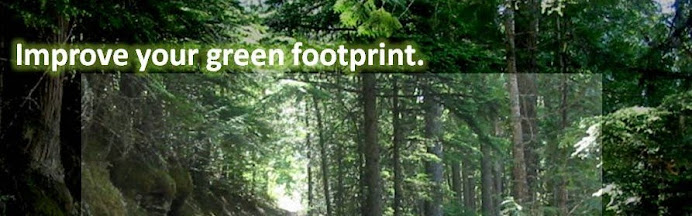 Improve Your Green Footprint