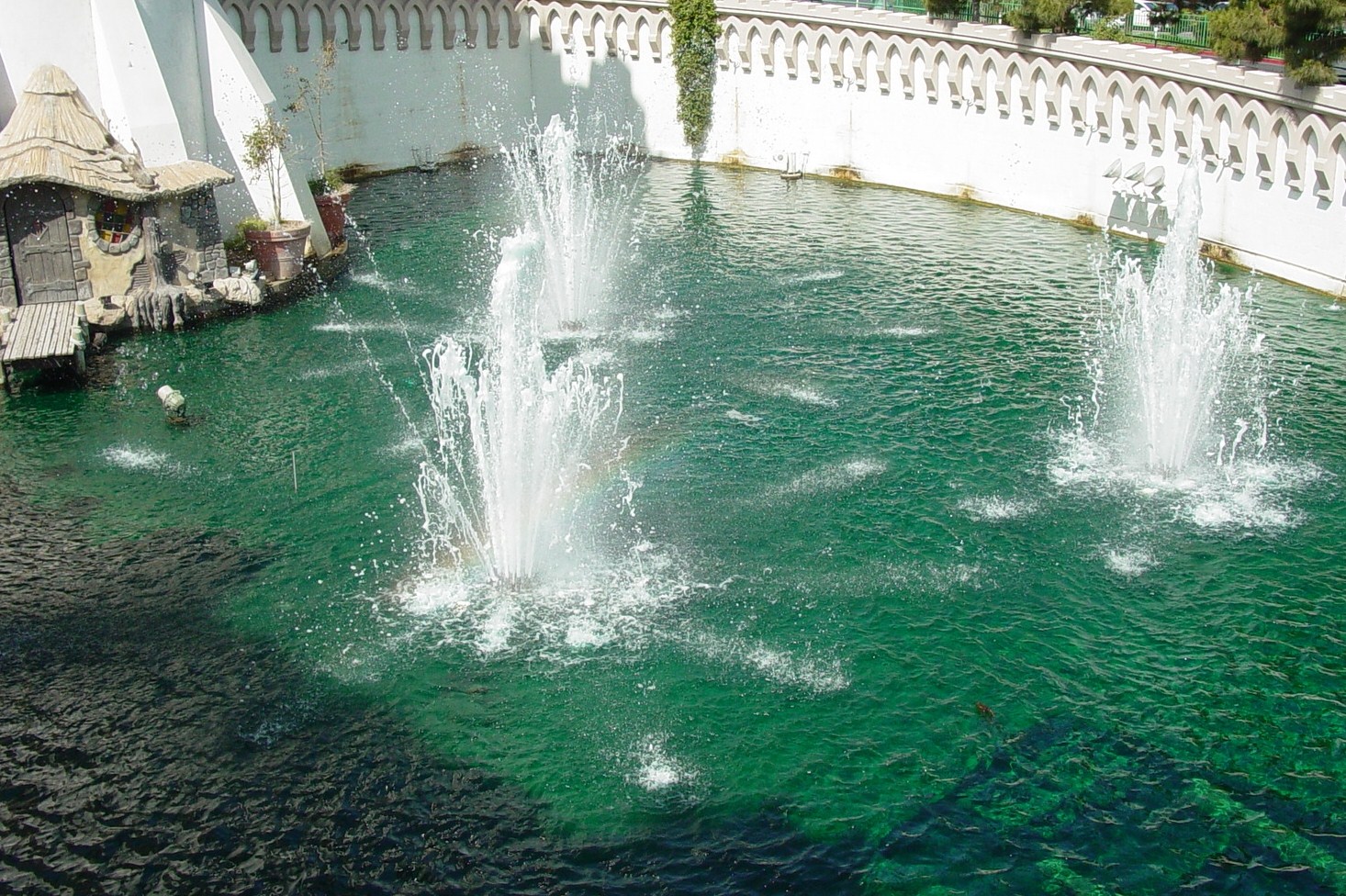 CreativeAspectsIncGallery Travel Albuquerque Aquarium and Las Vegas