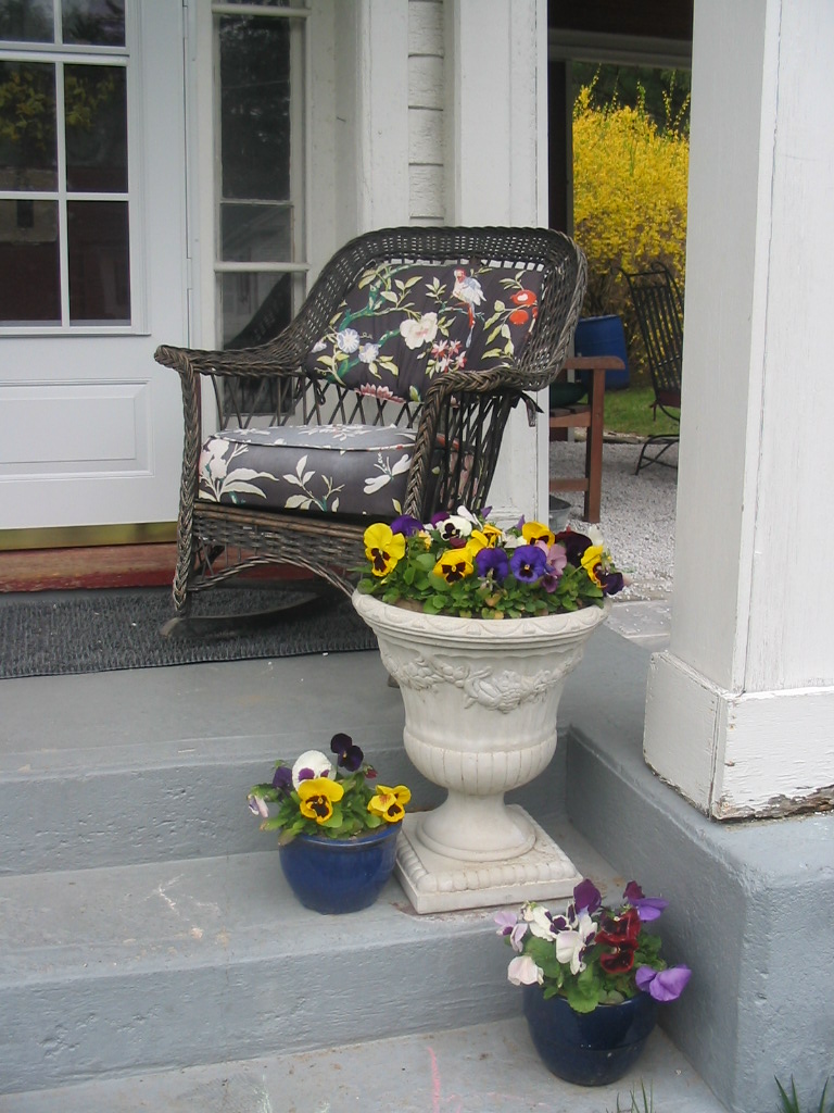[spring+flowers+2008.JPG]
