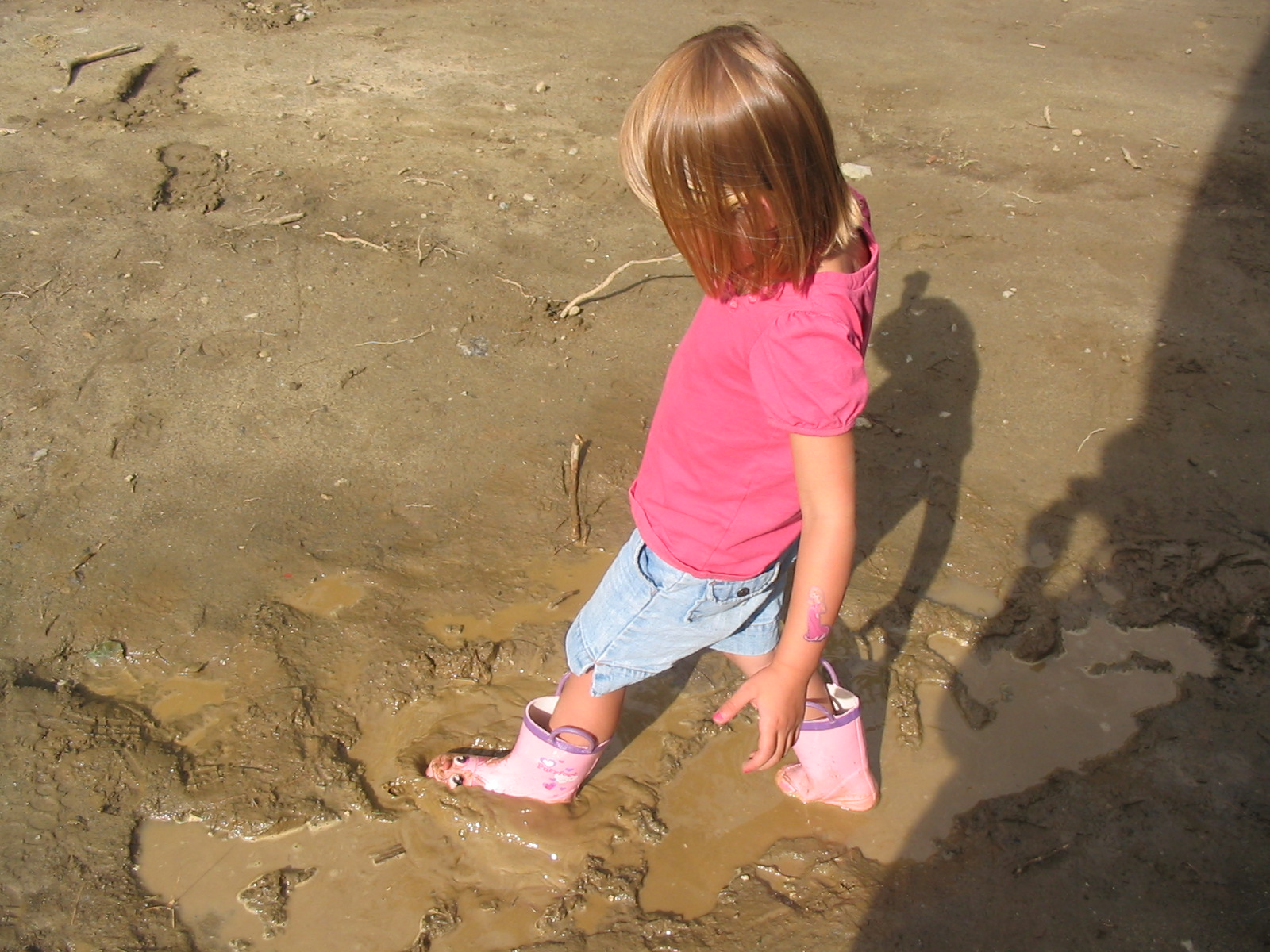 [IMG_5342.JPG]