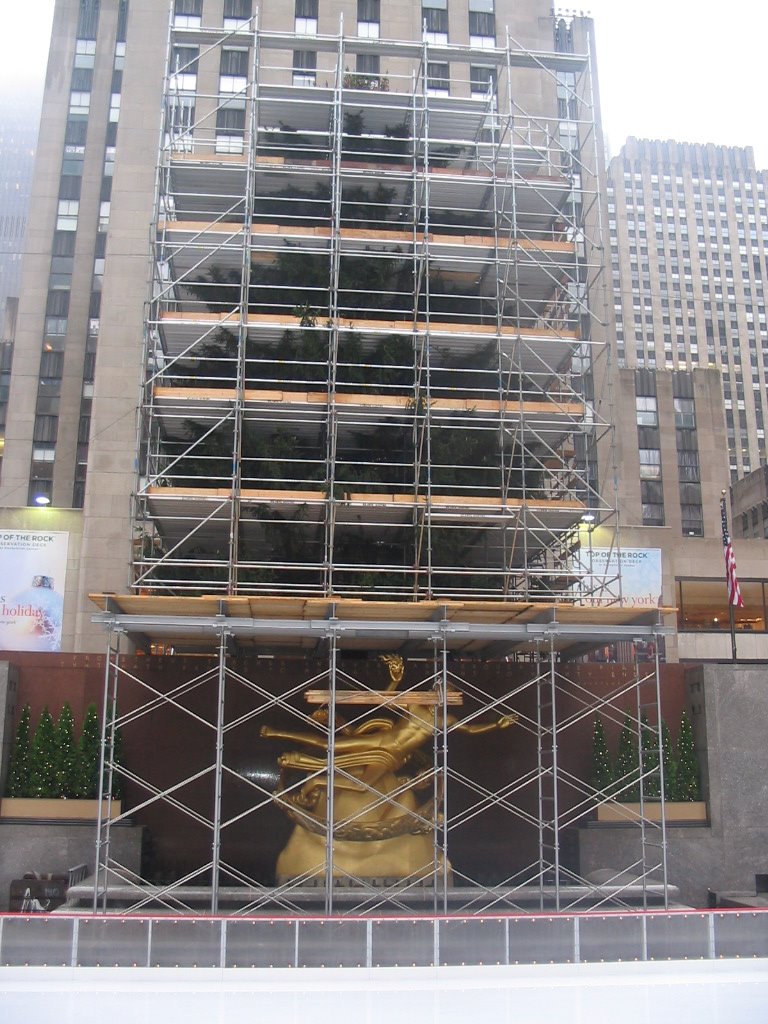 [ny3.JPG]
