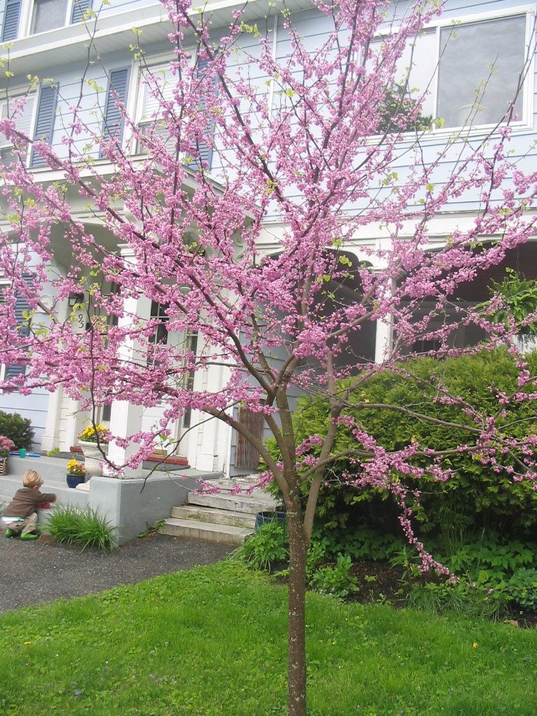 [IMG_7438.JPG]