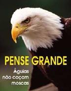 [imagem.JPG]