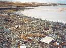 mi playa contaminada