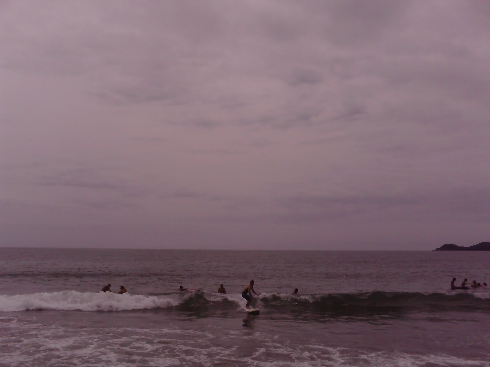 [PICT0052.JPG]