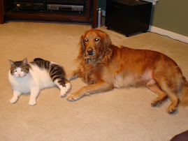 Big Brothers!