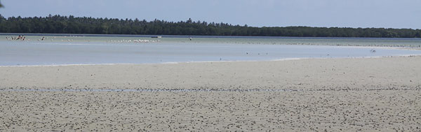 [Mida-Creek-BINNS-IMG_6126-copy.jpg]