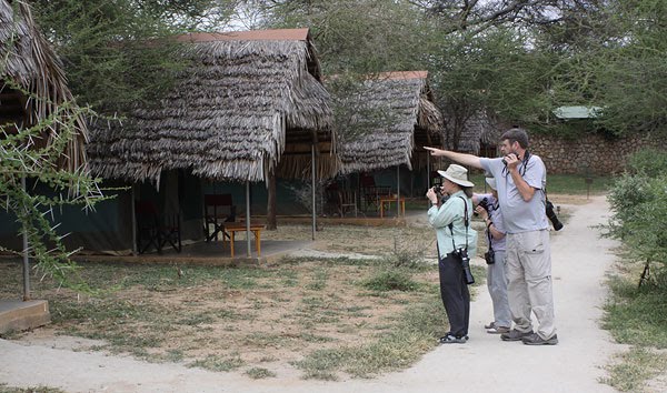 [scott-at-at-tarangire-safari-lodge-BINNS-IMG_7664-copy.jpg]