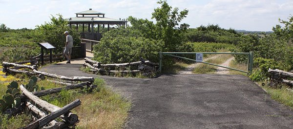 [shin-oak-observation-deck-BINNS-IMG_3504-copy.jpg]