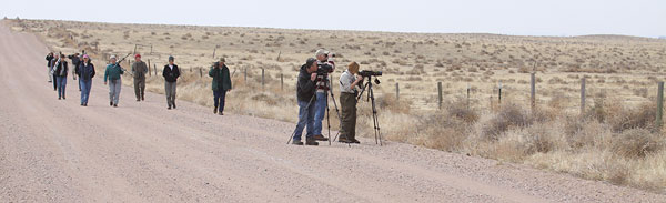 [birding-the-pawnees-BINNS-IMG_7818-copy.jpg]