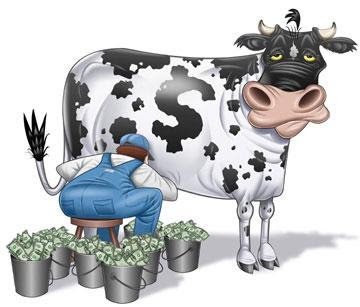 Another Cash Cow