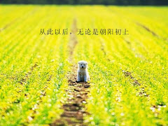 百度图片