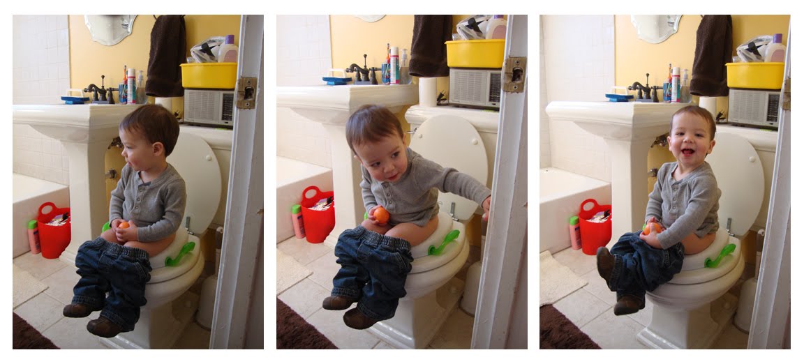 [potty+triptich.jpg]