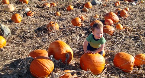 [Axe+in+the+Patch.jpg]