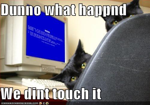 [Image: funny-pictures-cats-computer-blue-screen-death.jpg]