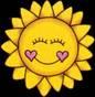 Hello Sunshine!