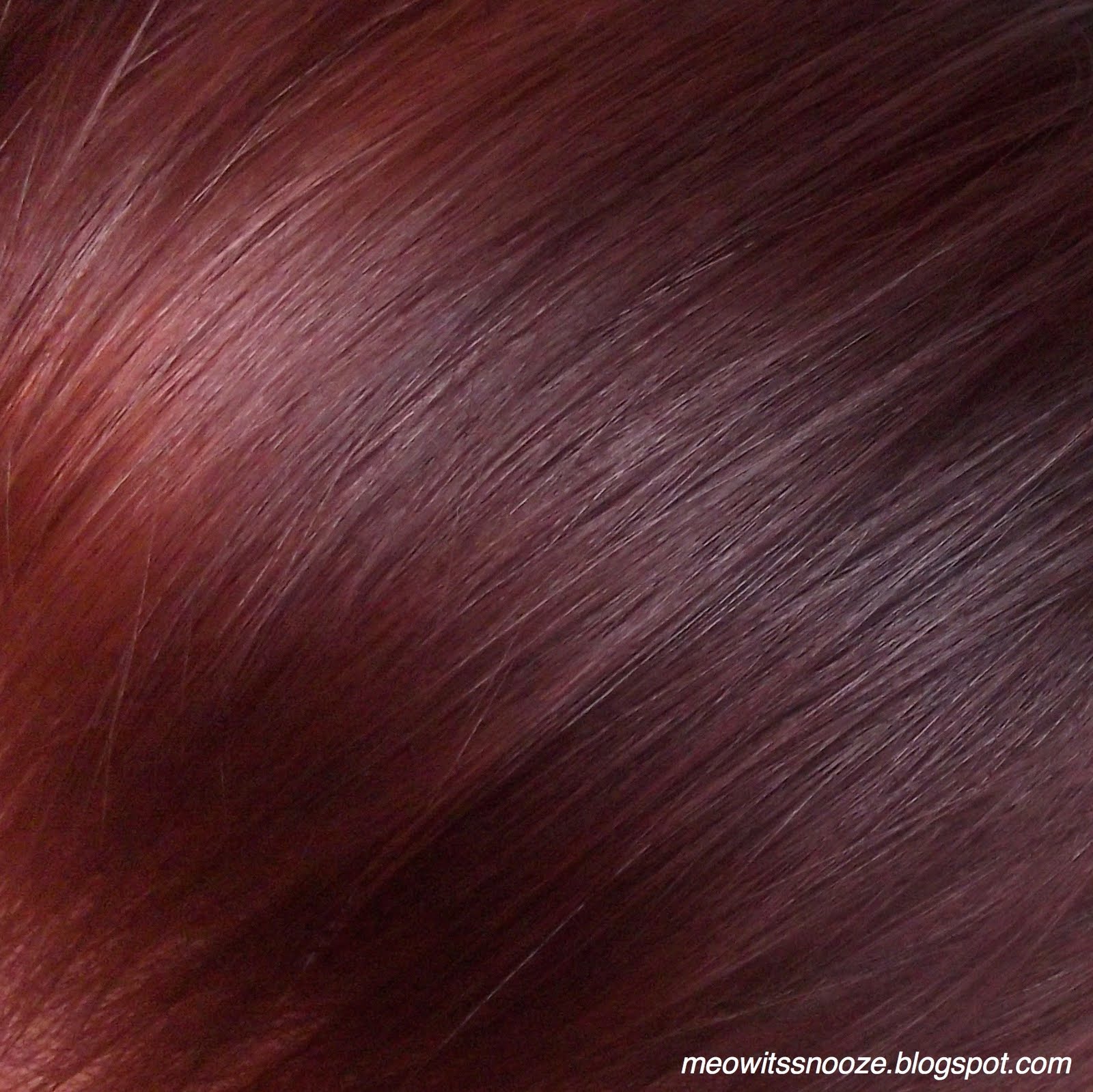 Mahogany Red Hair Syoss mahogany: my new hair Mahogany Red Hair Syoss mahogany: my new hair