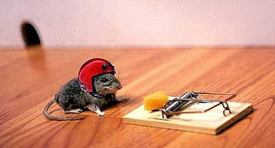 mouse-trap.jpg