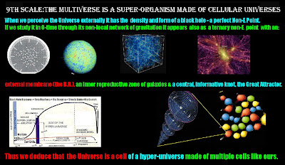 cosmology universes multiverse sizes