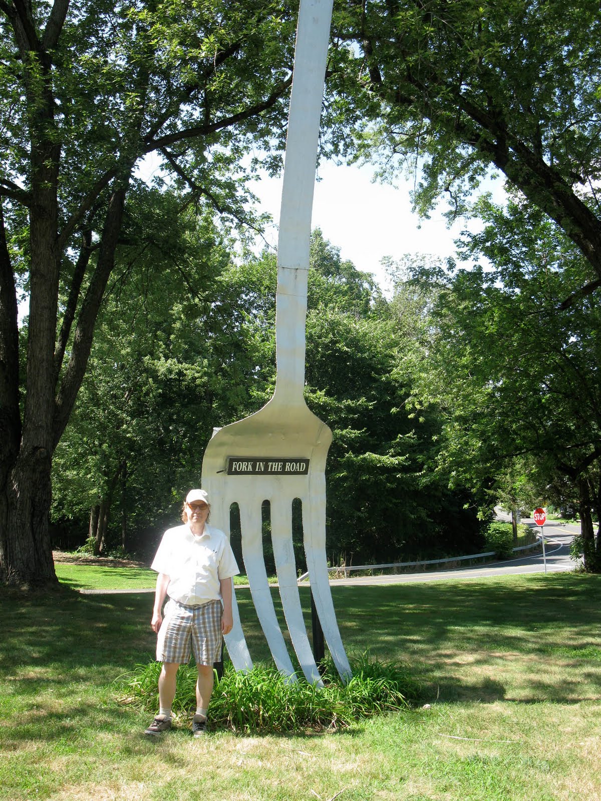 Eccentric Roadside The New York Tines Rock City, New York's fork in