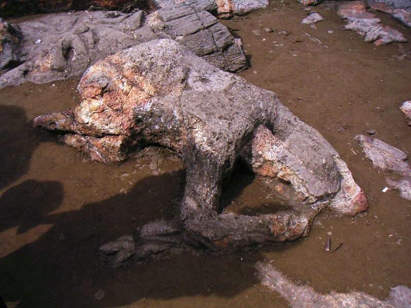 LAMANSERi MeNCaRi KeReDHaaNMU Mengungkit tandanya