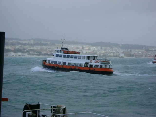 [DSC09776.JPG]