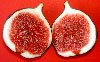 [vegetale-health-vegetable-figs-fruit-seo-dota.jpg]