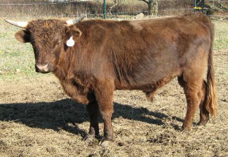 [hershey_dec_07_5-448x310.jpg]