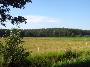 [939560_polish_countryside_6.jpg]